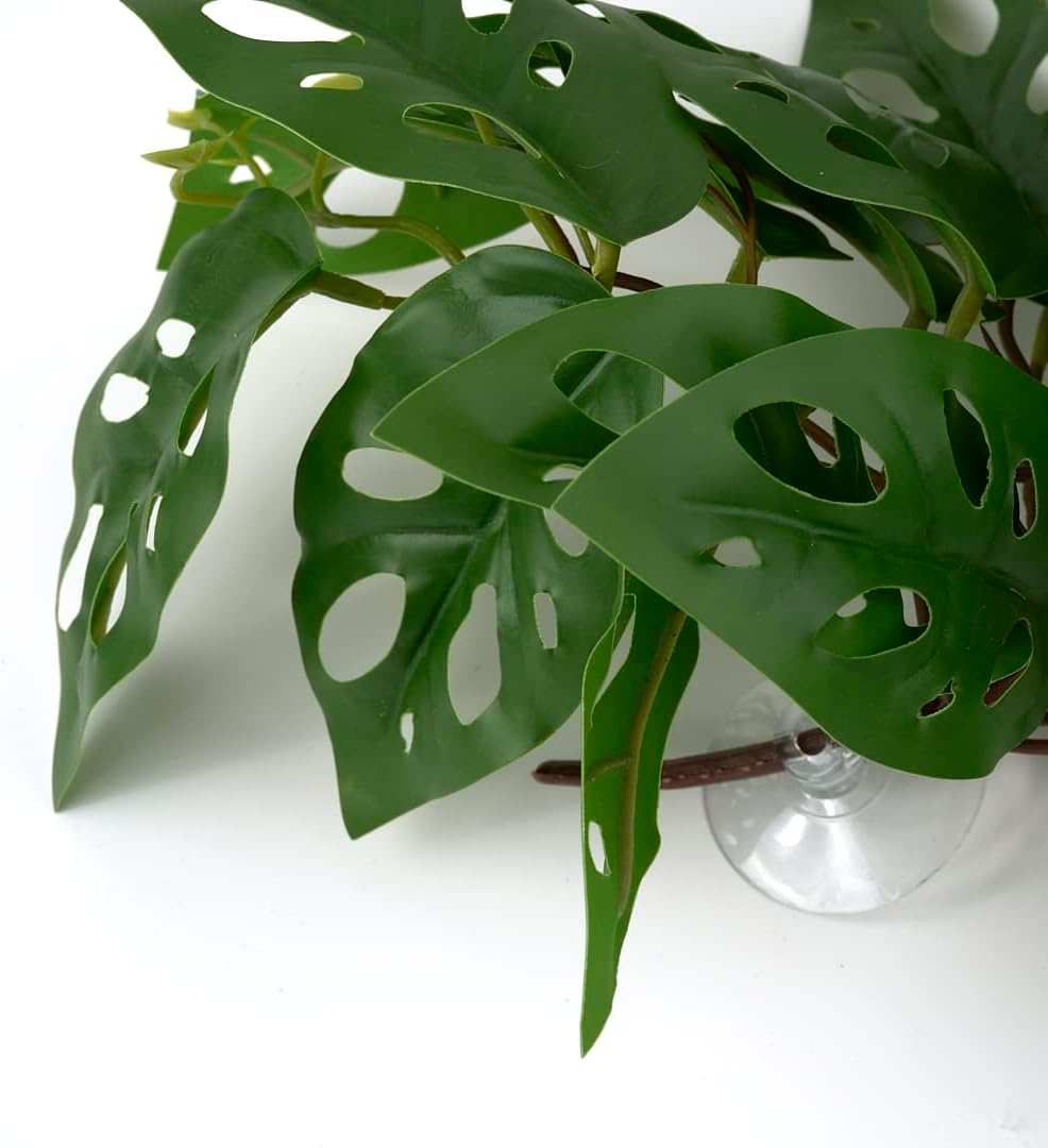 Fake Calathea Orbifolia, Reptile Terrarium Suction Plants