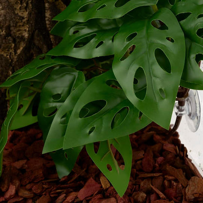 Fake Calathea Orbifolia, Reptile Terrarium Suction Plants