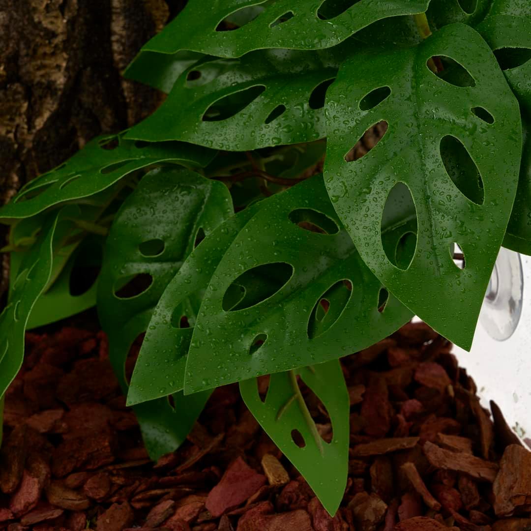 Fake Calathea Orbifolia, Reptile Terrarium Suction Plants
