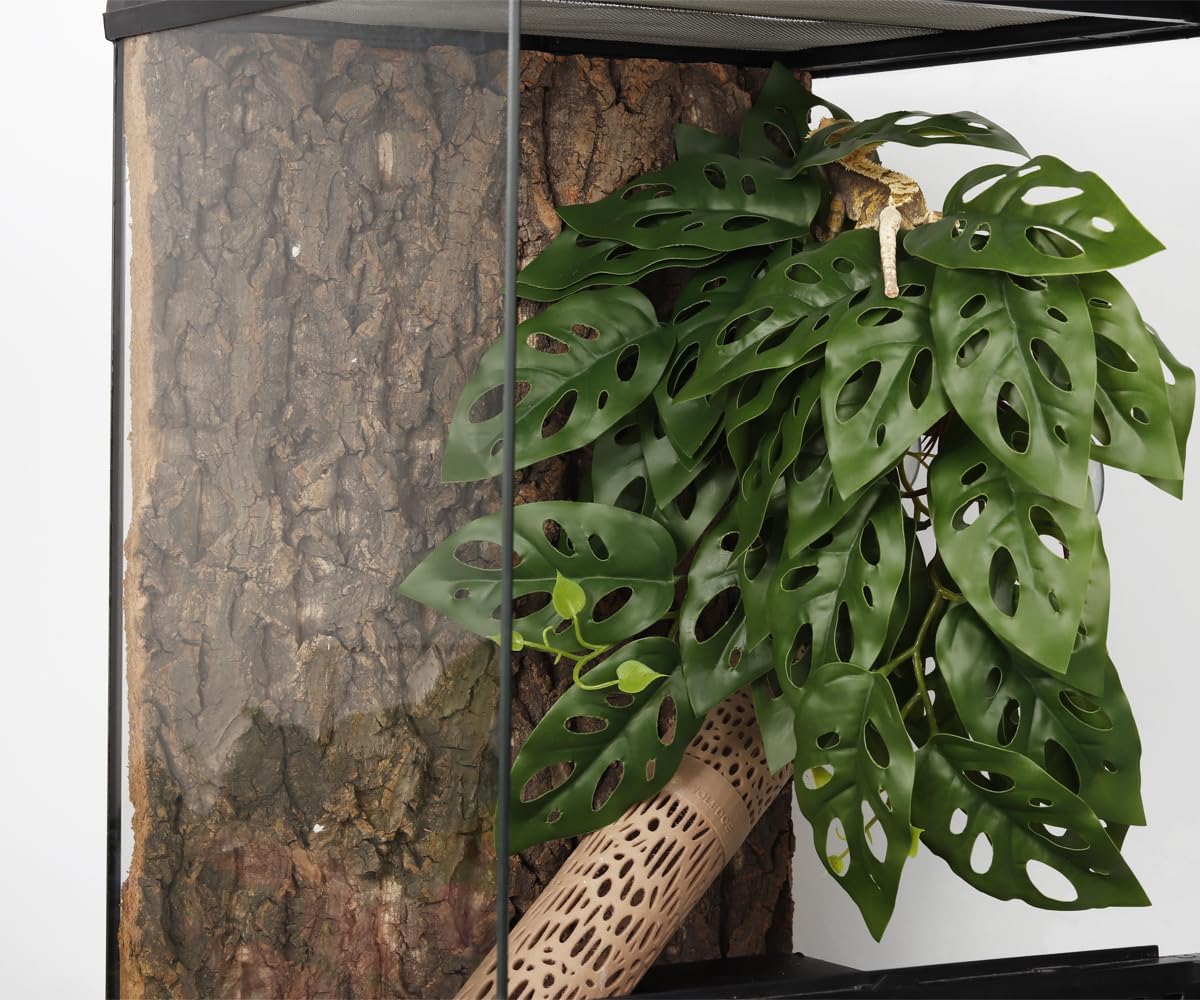 Fake Calathea Orbifolia, Reptile Terrarium Suction Plants