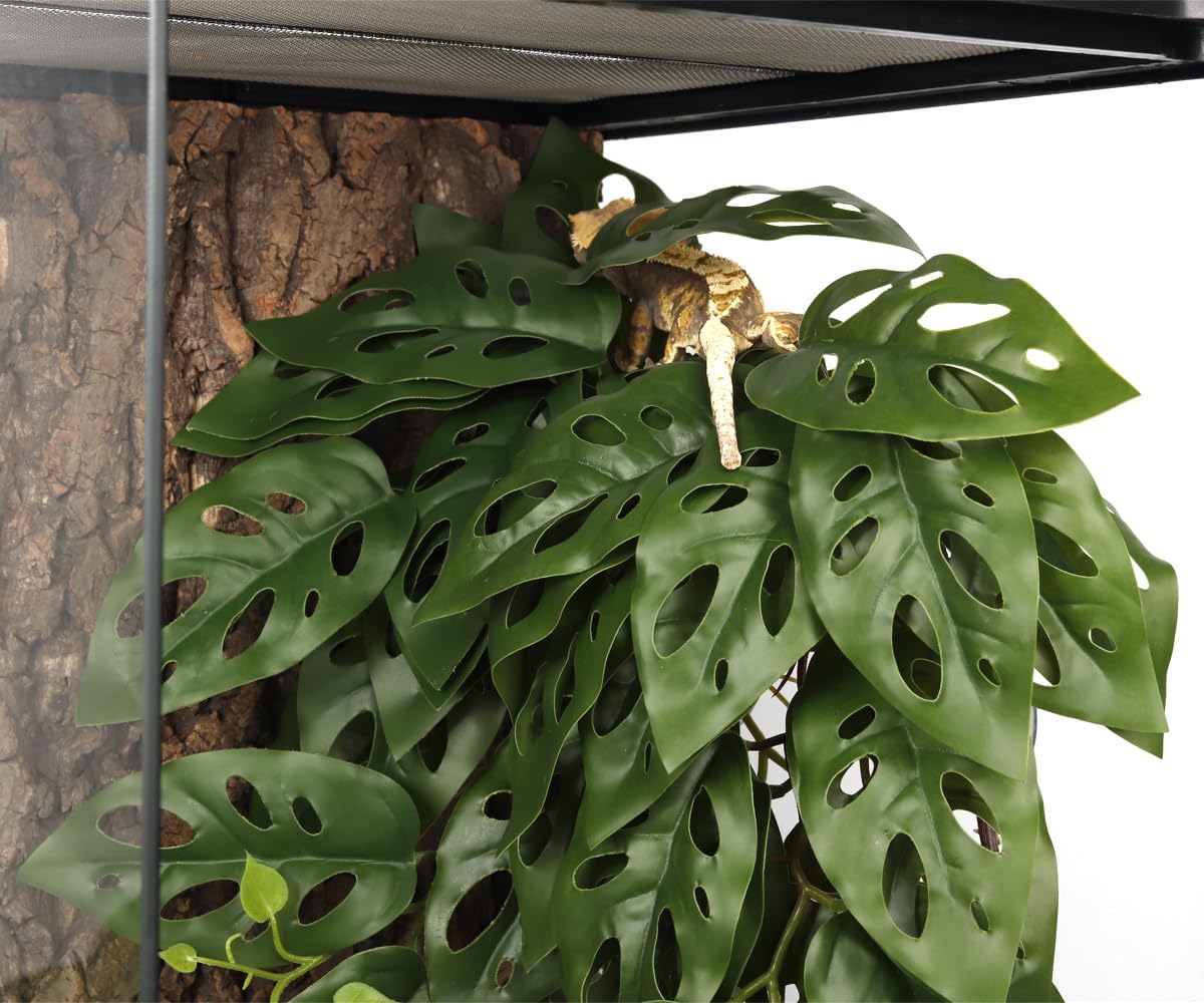 Fake Calathea Orbifolia, Reptile Terrarium Suction Plants