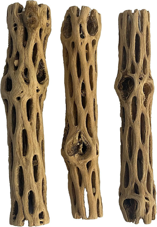 Natural Staghorn Cholla Wood Tube, 3 Pack, 6 Inch