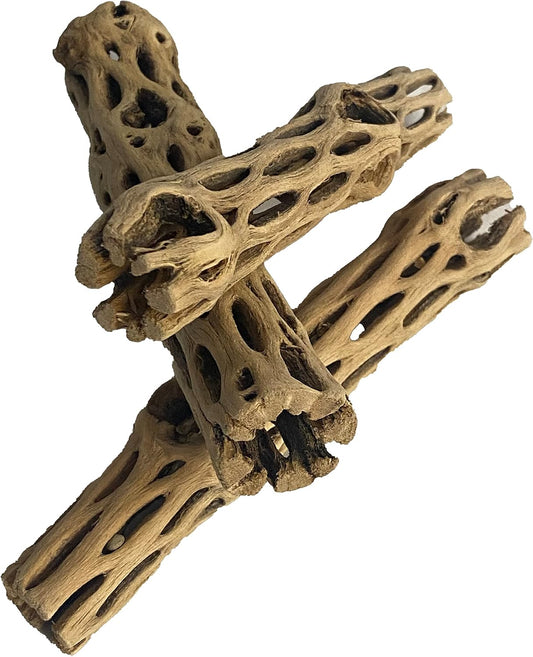 Natural Staghorn Cholla Wood Tube, 3 Pack, 6 Inch