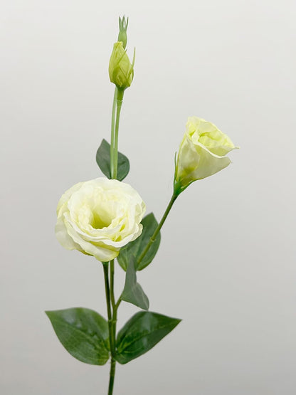 5Pcs Artificial Silk Lisianthus Flower Stem 26In Fake Eustoma Lisianthus Flower Branches for DIY Wedding Party Home Decor (Green)