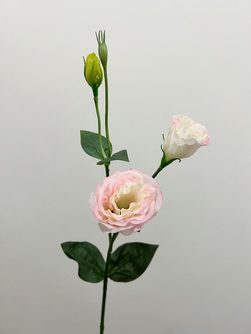 5Pcs Artificial Silk Lisianthus Flower Stem 26In Fake Eustoma Lisianthus Flower Branches for DIY Wedding Party Home Decor (Green)