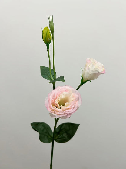 5Pcs Artificial Silk Lisianthus Flower Stem 26In Fake Eustoma Lisianthus Flower Branches for DIY Wedding Party Home Decor (Green)
