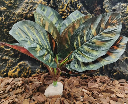 Reptile Plants for Terrarium Decor,Habitat Decor,Artificial Plants