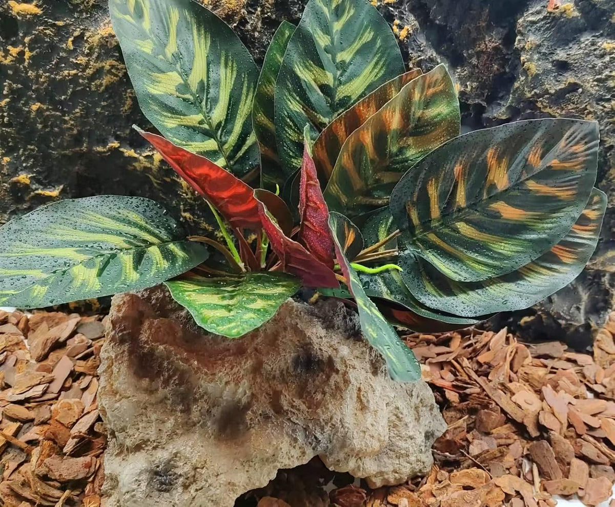 Reptile Plants for Terrarium Decor,Habitat Decor,Artificial Plants