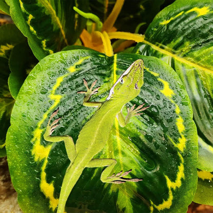 Reptile Plants for Terrarium Decor,Habitat Decor,Artificial Plants