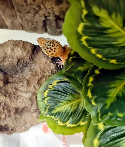 Reptile Plants for Terrarium Decor,Habitat Decor,Artificial Plants