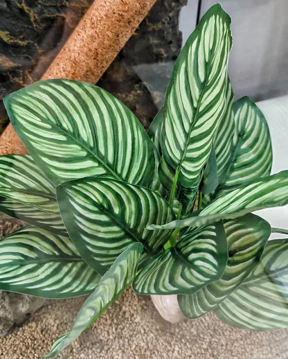 Reptile Plants for Terrarium Decor,Habitat Decor,Artificial Plants