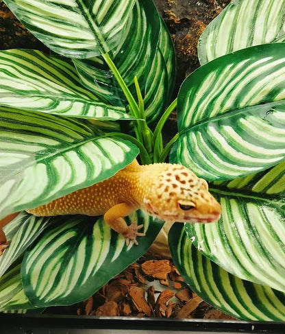 Reptile Plants for Terrarium Decor,Habitat Decor,Artificial Plants