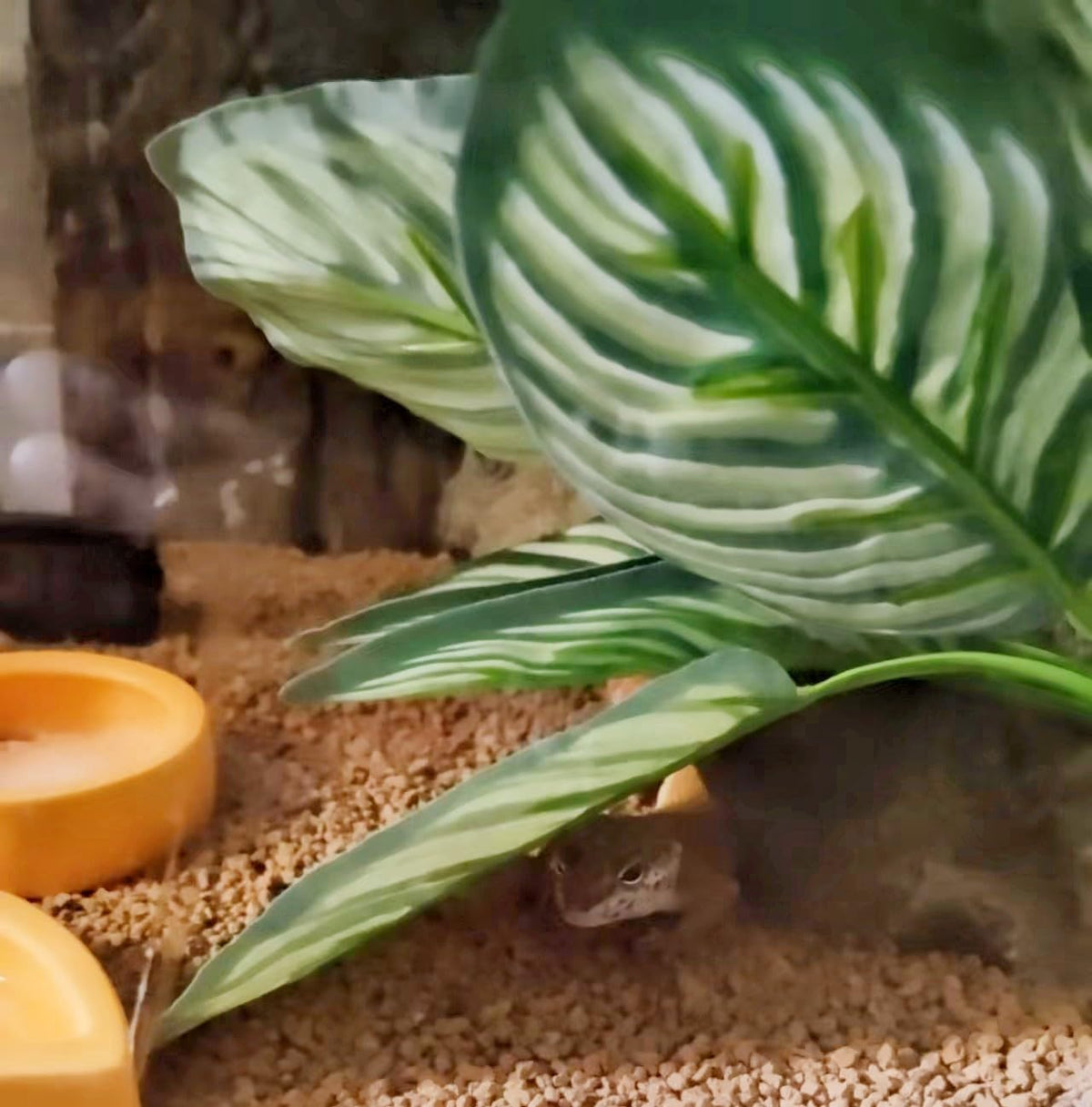 Reptile Plants for Terrarium Decor,Habitat Decor,Artificial Plants