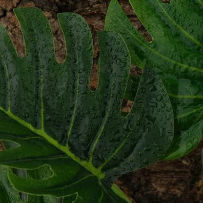 Reptile Plants for Terrarium Decor,Habitat Decor,Artificial Plants