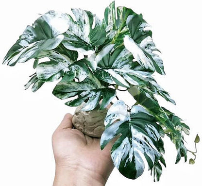 Reptile Plants for Terrarium Decor,Habitat Decor,Artificial Plants