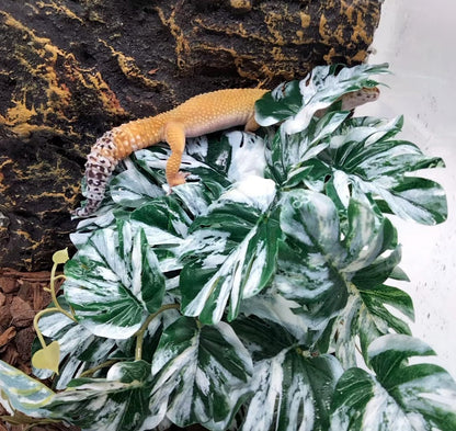 Reptile Plants for Terrarium Decor,Habitat Decor,Artificial Plants