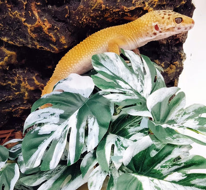 Reptile Plants for Terrarium Decor,Habitat Decor,Artificial Plants