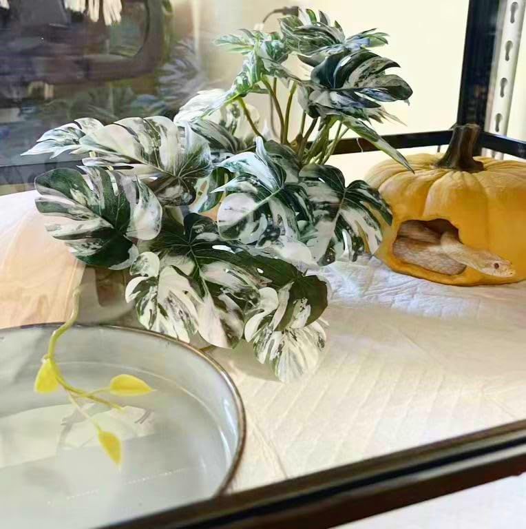 Reptile Plants for Terrarium Decor,Habitat Decor,Artificial Plants