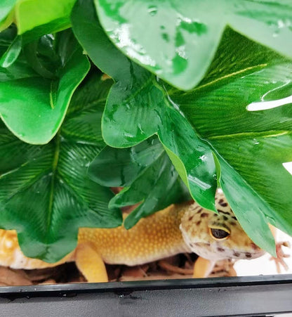 Reptile Plants for Terrarium Decor,Habitat Decor,Artificial Plants