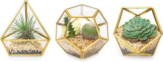 3 Pack Geometric Glass Terrarium, 4" Gold Air Plant Holder Tabletop