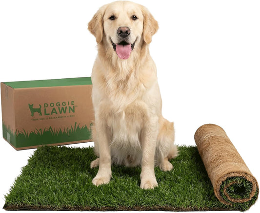 XL Real Grass Puppy Pee Pads, Dog Litter Box Alternative 24x48