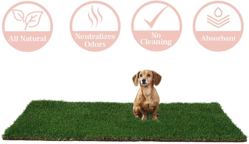 XL Real Grass Puppy Pee Pads, Dog Litter Box Alternative 24x48