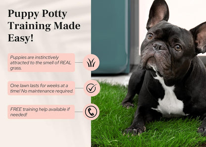 XL Real Grass Puppy Pee Pads, Dog Litter Box Alternative 24x48