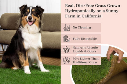 XL Real Grass Puppy Pee Pads, Dog Litter Box Alternative 24x48