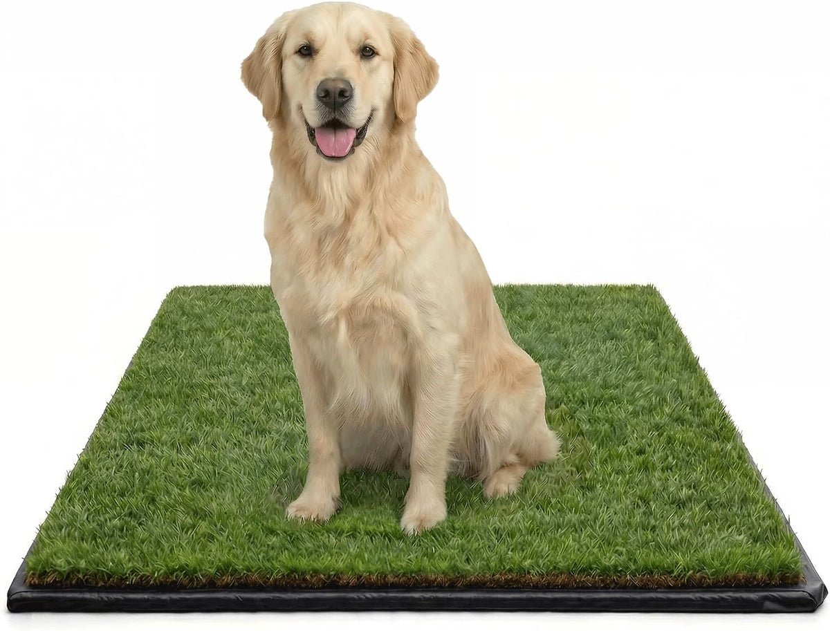 XL Real Grass Puppy Pee Pads, Dog Litter Box Alternative 24x48