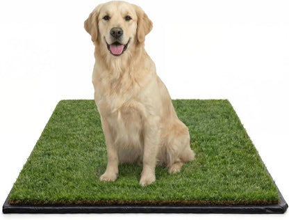 XL Real Grass Puppy Pee Pads, Dog Litter Box Alternative 24x48