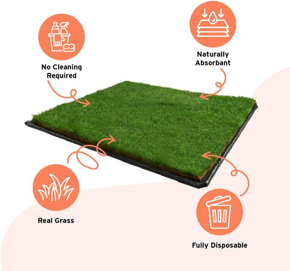 XL Real Grass Puppy Pee Pads, Dog Litter Box Alternative 24x48