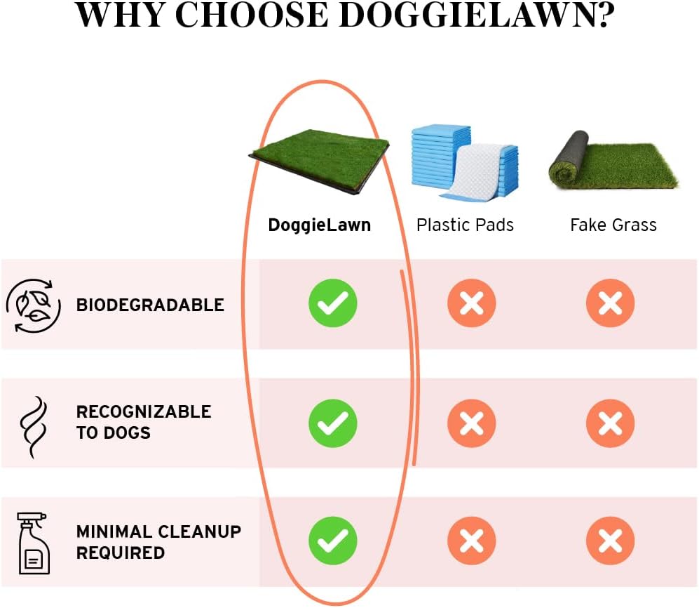 XL Real Grass Puppy Pee Pads, Dog Litter Box Alternative 24x48