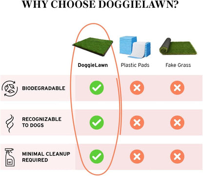XL Real Grass Puppy Pee Pads, Dog Litter Box Alternative 24x48
