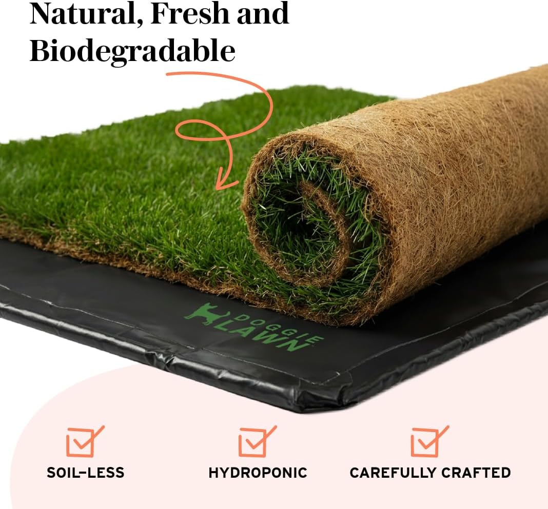 XL Real Grass Puppy Pee Pads, Dog Litter Box Alternative 24x48