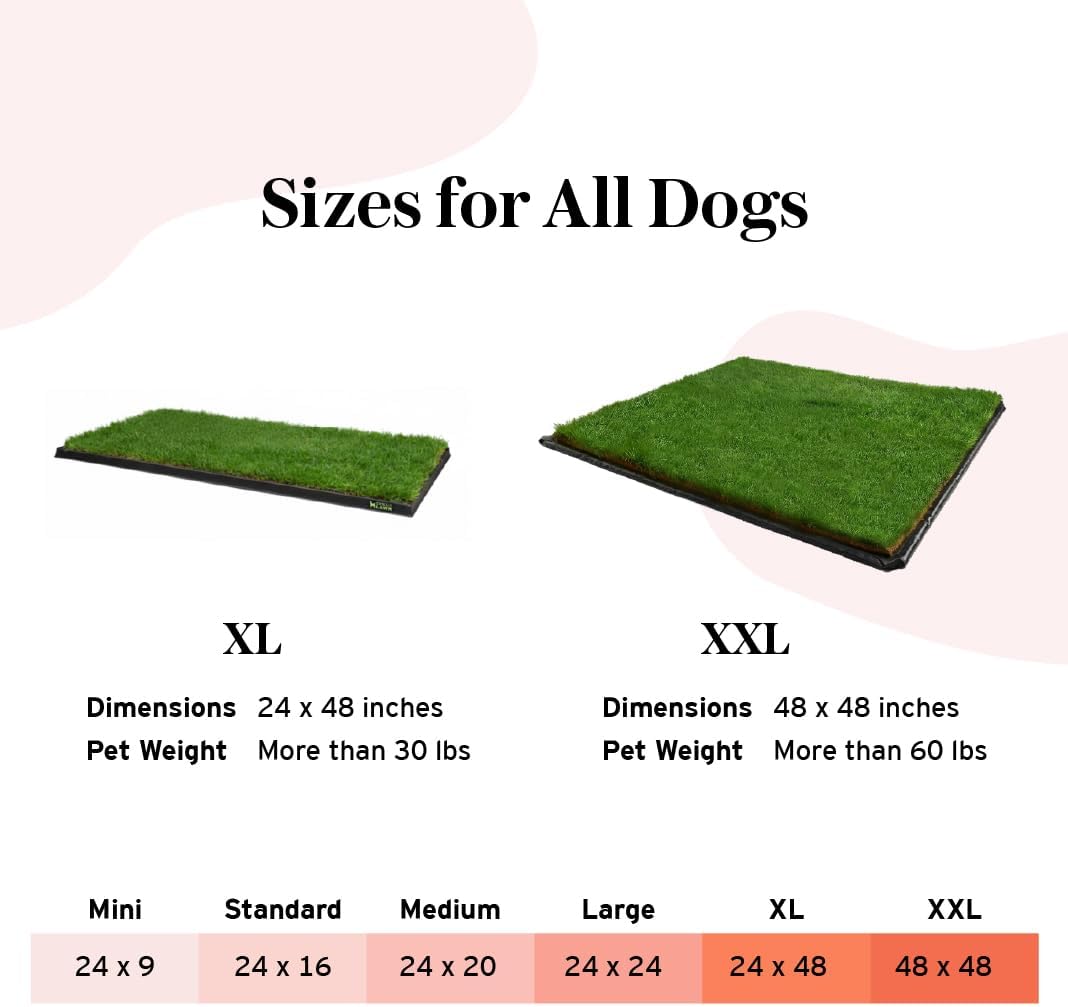XL Real Grass Puppy Pee Pads, Dog Litter Box Alternative 24x48