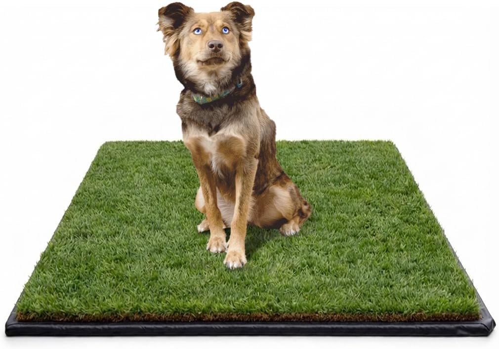 XL Real Grass Puppy Pee Pads, Dog Litter Box Alternative 24x48