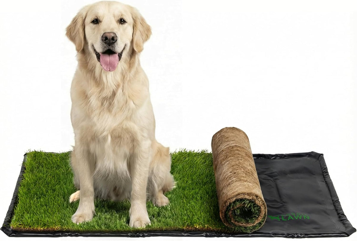 XL Real Grass Puppy Pee Pads, Dog Litter Box Alternative 24x48