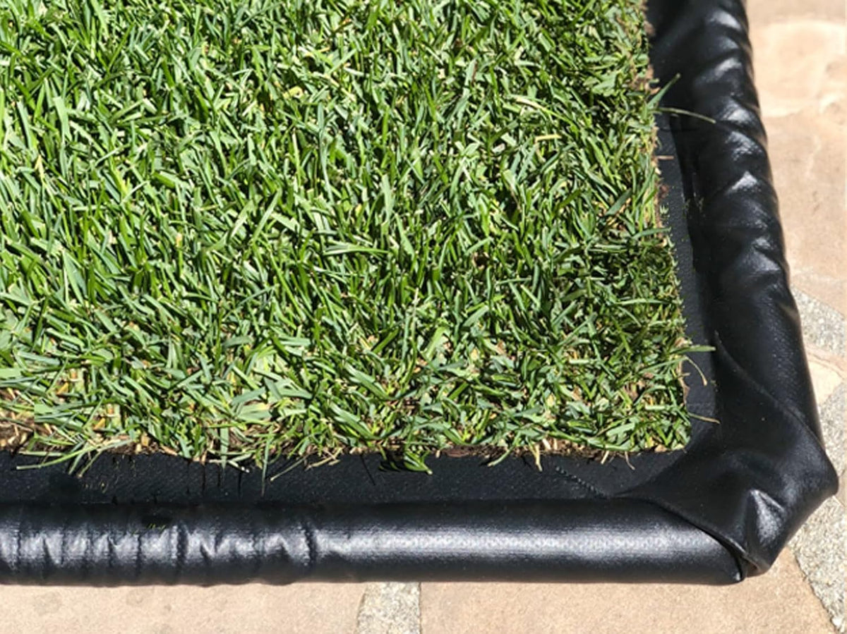 XL Real Grass Puppy Pee Pads, Dog Litter Box Alternative 24x48