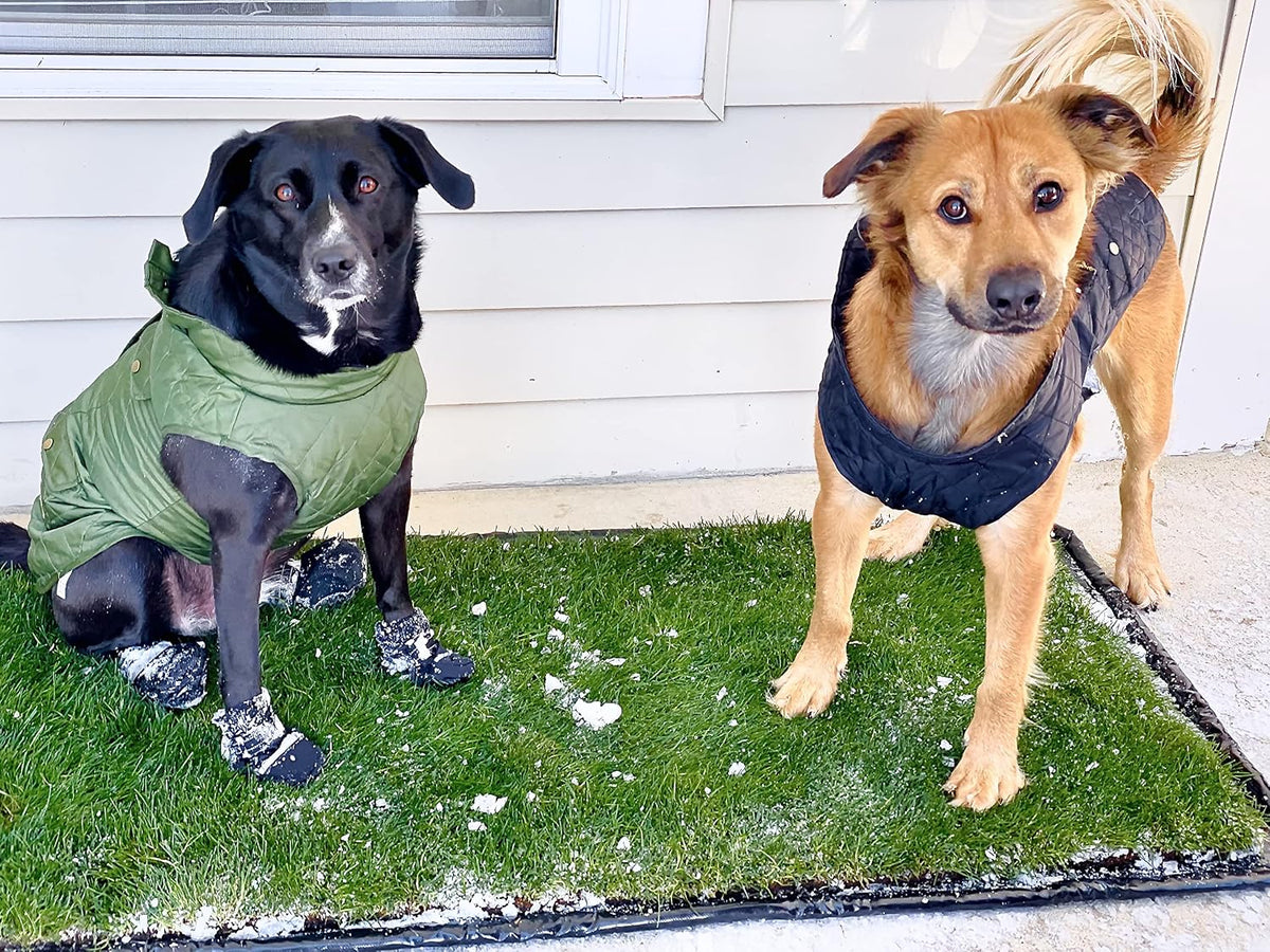 XL Real Grass Puppy Pee Pads, Dog Litter Box Alternative 24x48