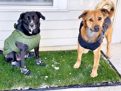 XL Real Grass Puppy Pee Pads, Dog Litter Box Alternative 24x48