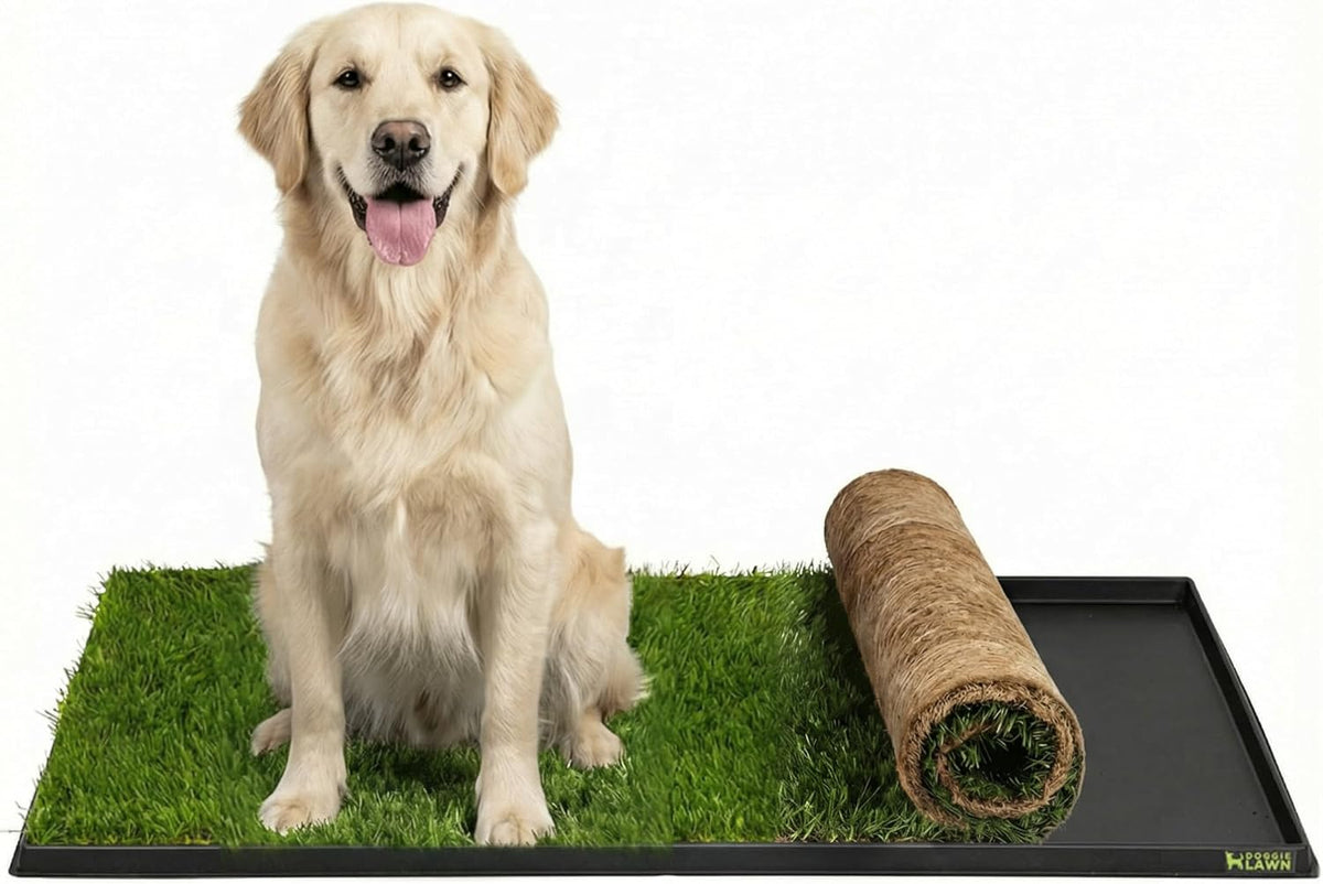 XL Real Grass Puppy Pee Pads, Dog Litter Box Alternative 24x48