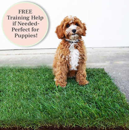 XL Real Grass Puppy Pee Pads, Dog Litter Box Alternative 24x48