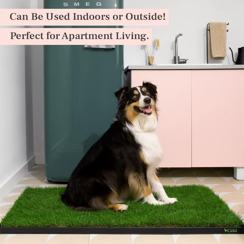 XL Real Grass Puppy Pee Pads, Dog Litter Box Alternative 24x48