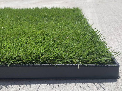 XL Real Grass Puppy Pee Pads, Dog Litter Box Alternative 24x48