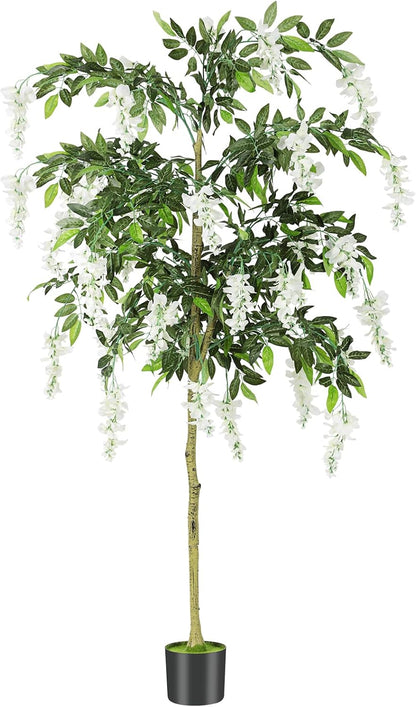 6FT Ficus Tree Artificial Indoor,Tall Fake Wisteria Tree in Nursery Pot | Blooming White Flowers,Realistic Green Leaves and Real Wood Trunk for Living Room,Home Office & Porch