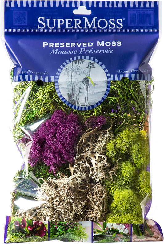 (23311) Elegant Decorative Mixed moss, MultiColor, 120 cu.in., white