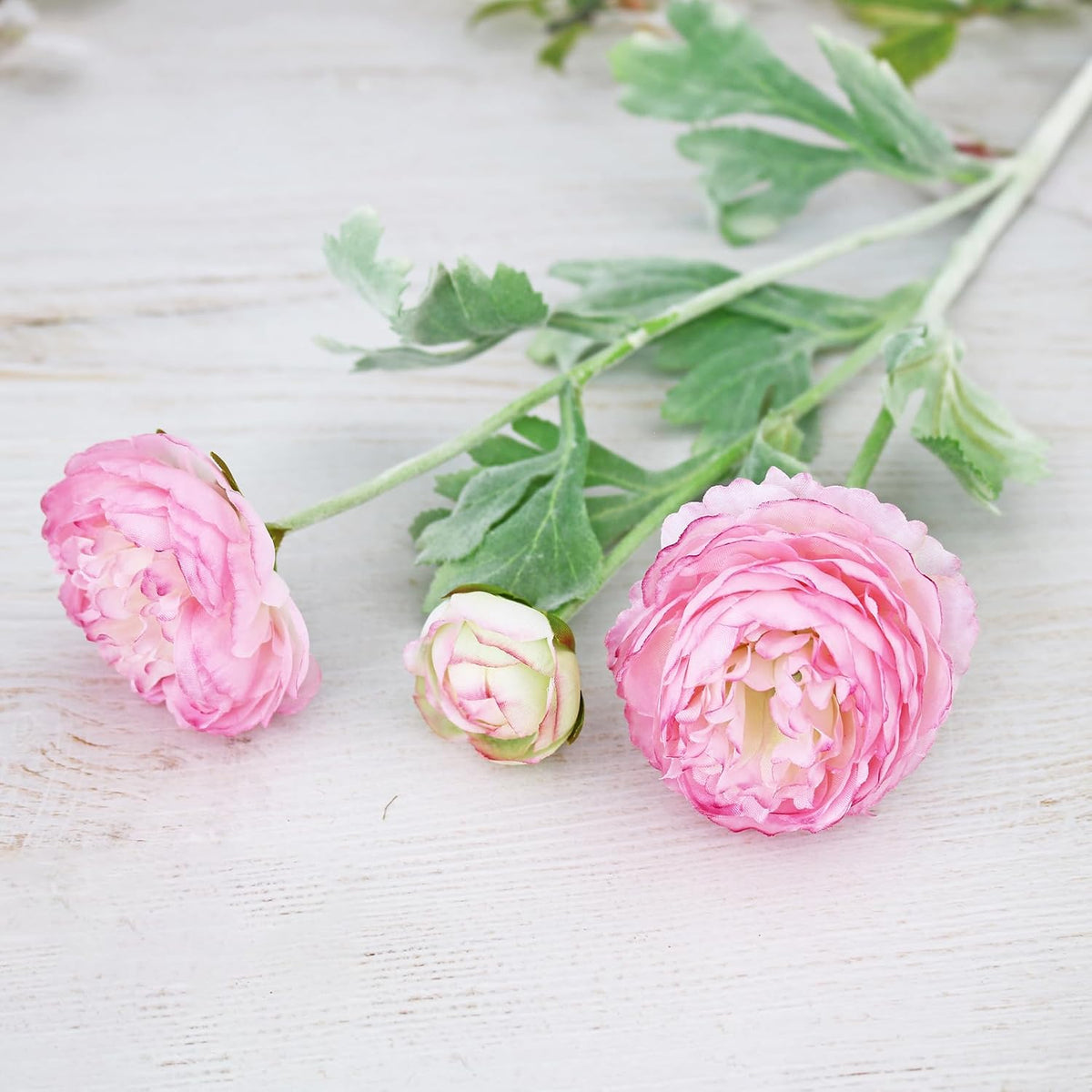 6PCS Artificial Ranunculus Flowers with Real Touch Stem for Household Arrangement (Light Orange)