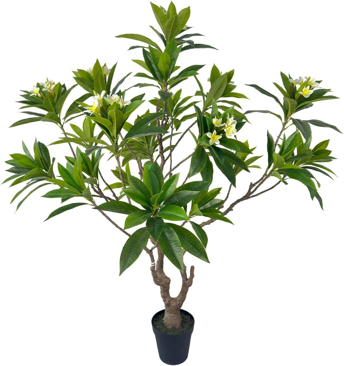 Artificial PlumeriaTree with White Flowers, 7 ft Tall, Potted Plumeria Plant for Indoor Office Living Room Bedroom Garden
