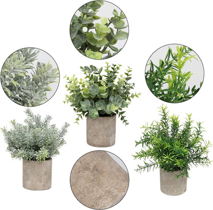Mini Potted Plants Artificial Eucalyptus Boxwood Rosemary Faux Herbs Small House Plants 8.3"-9" Tall for Indoor Greenery Tabletop Décor Centerpiece (Sprayed Eucalyptus)
