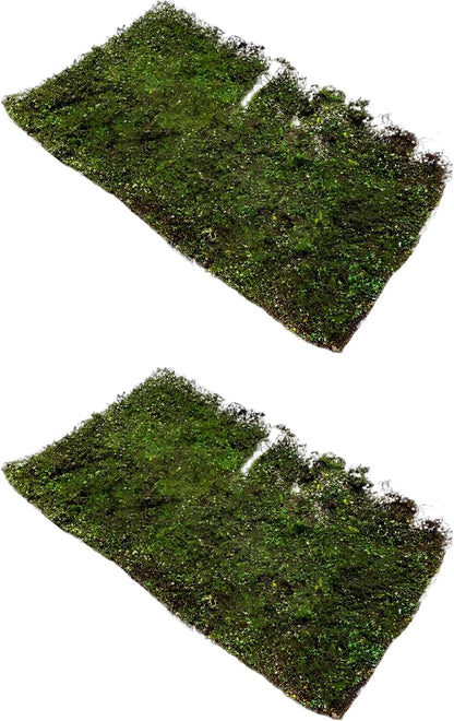 2 Pcs Artificial Moss Grass Mat, Realistic Ground Shrub Turf Model for Reptile Terrarium, Miniature Scene, DIY Decor, Nylon Resin Glue Material for Landscape Display and Crafts
